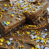 Choc Coconut slice